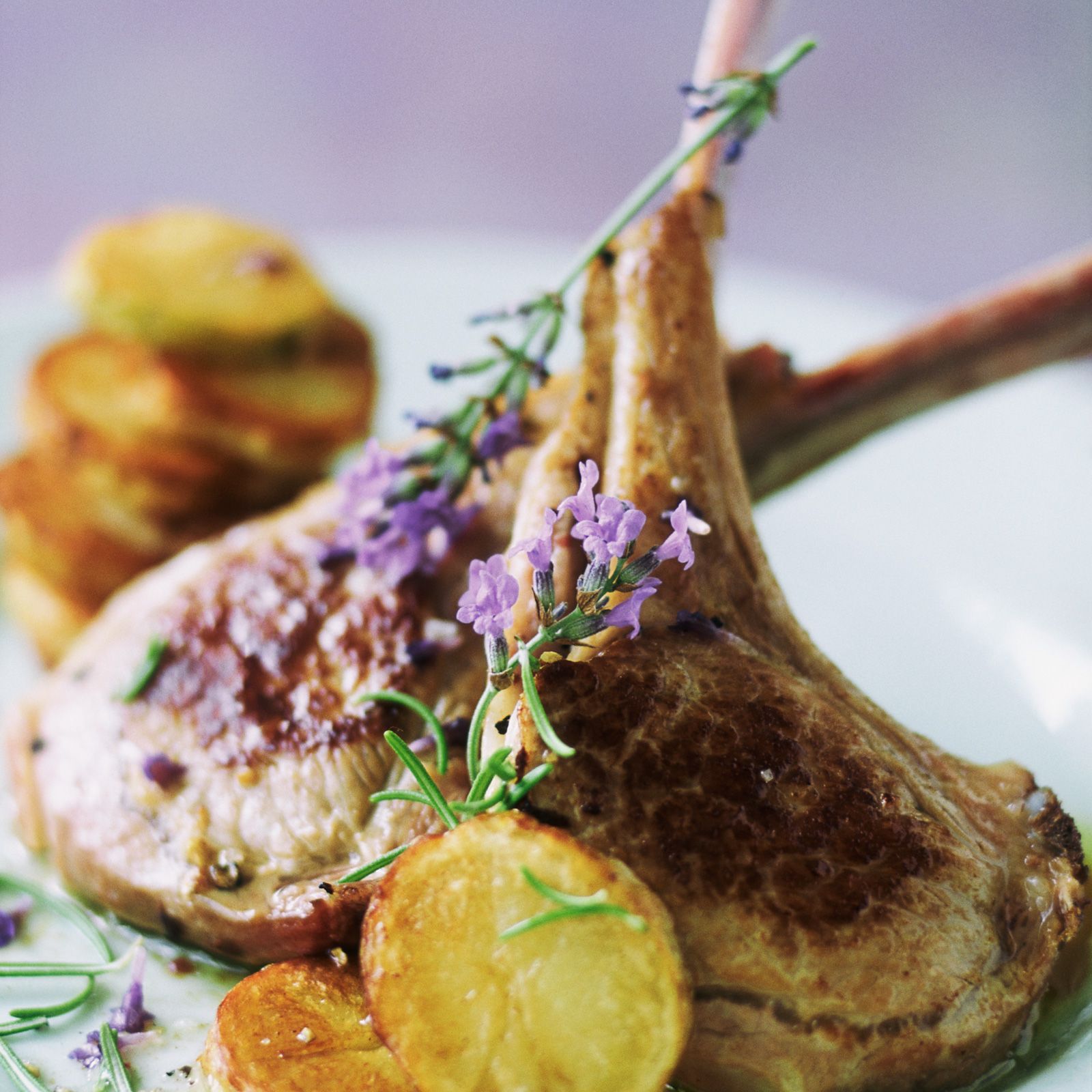 Odoo- Echantillon n° 3 pour trois colonnes