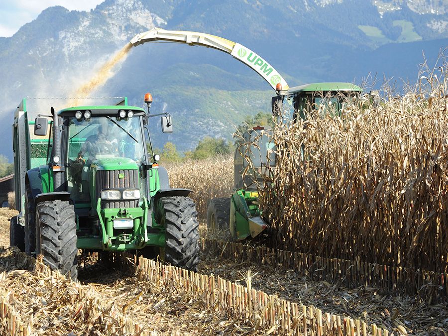 Odoo • Image et Texte