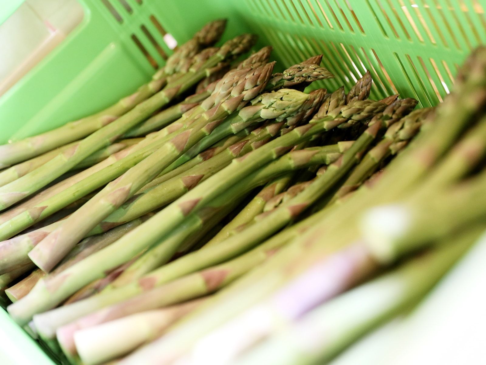 Odoo • Image et Texte