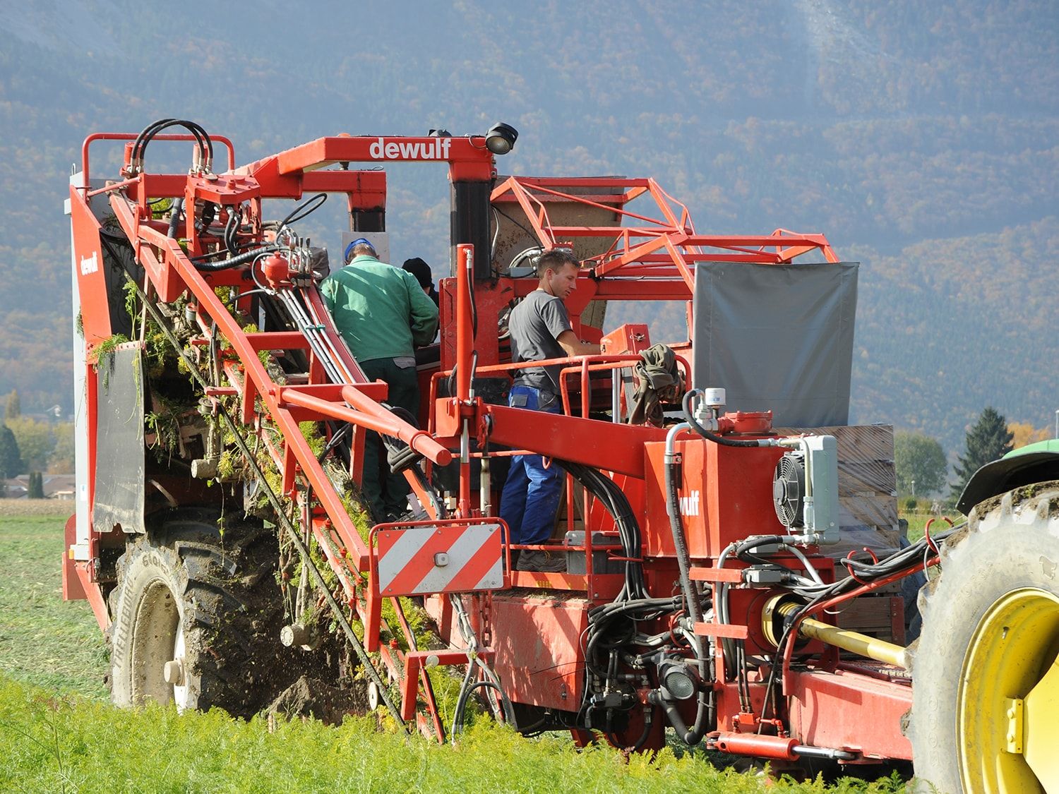 Odoo • Text and Image