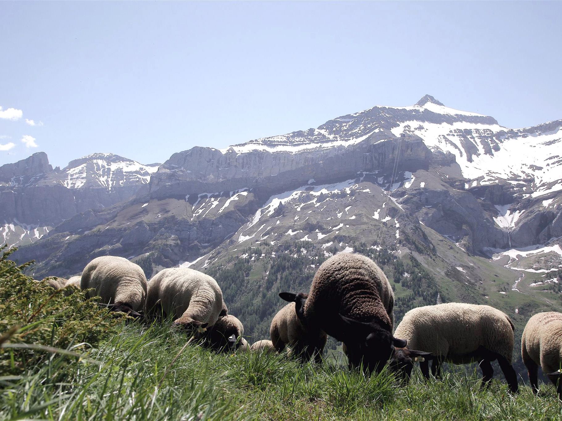 Odoo • Texte et Image