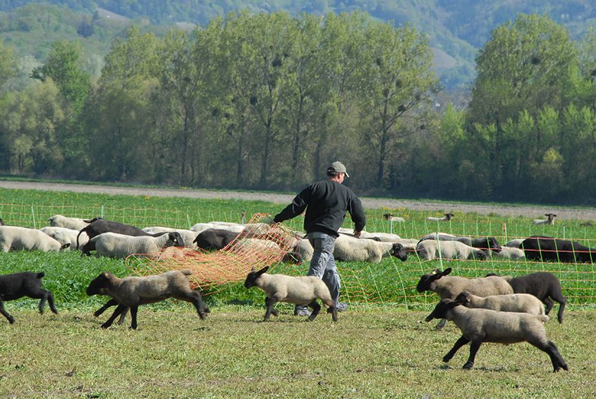 Odoo • Texte et Image